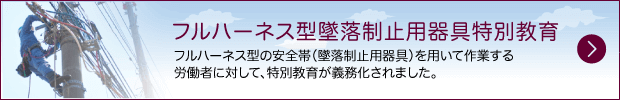 フルハーネス型墜落制止用器具特別教育